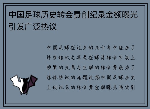 中国足球历史转会费创纪录金额曝光引发广泛热议