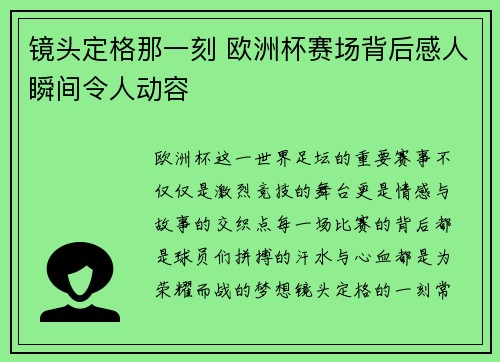 镜头定格那一刻 欧洲杯赛场背后感人瞬间令人动容